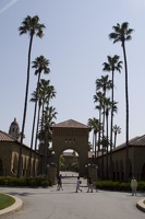 313-6986 Stanford - Way to Main Quad